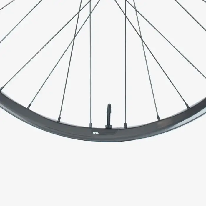 We Are One Deal DH Rims (29mm)